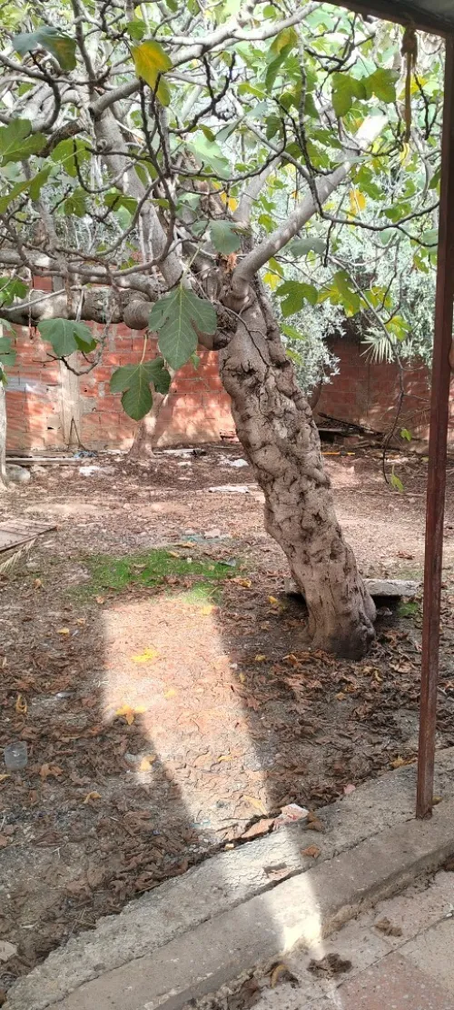 Vente Villa El Tarf Drean