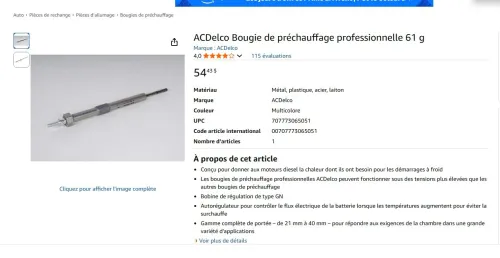 Bougie de préchauffage professionnelle 61g