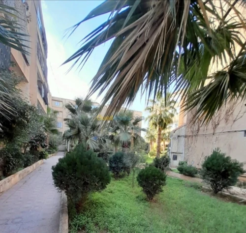 Vente Appartement F5 Blida Beni mered
