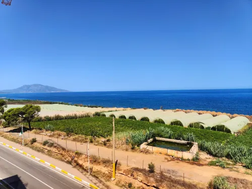 Vente Appartement F3 F4 F5 Tipaza Ain tagourait