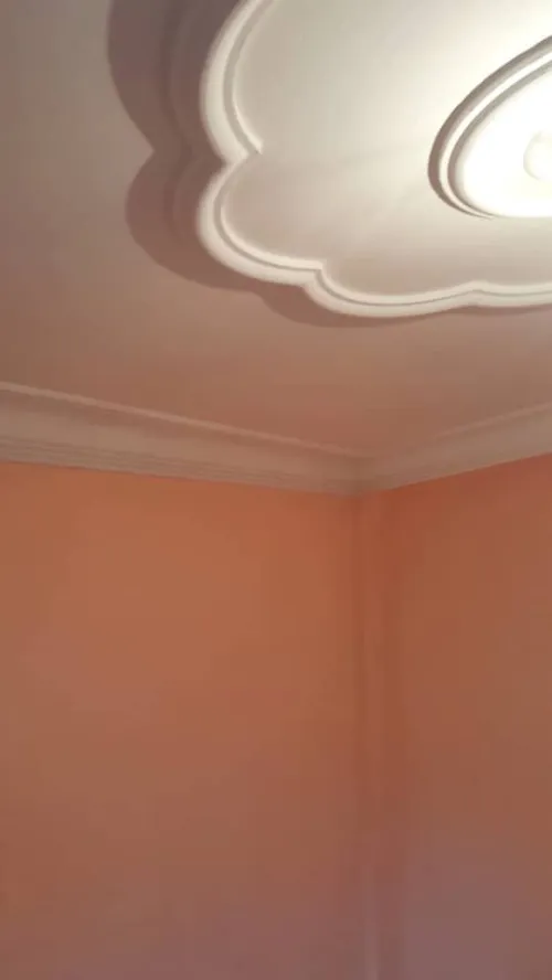 Location Appartement Niveau de villa Studio Alger Birtouta
