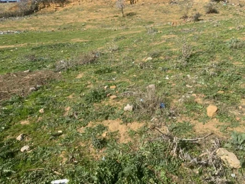 Vente Terrain Médéa Medea