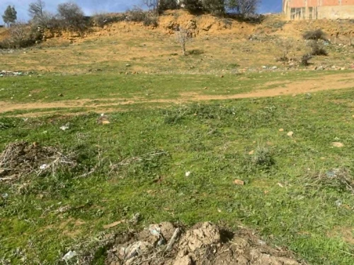 Vente Terrain Médéa Medea