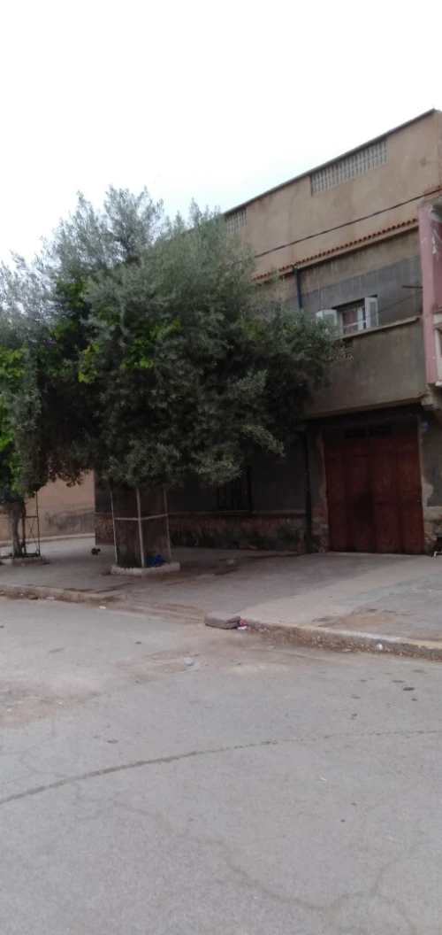 Vente Villa Relizane Yellel