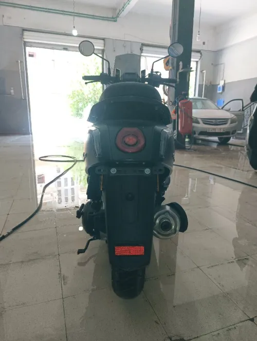 VMS GEMMA 2025