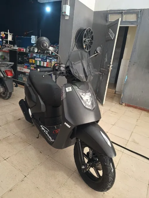 VMS GEMMA 2025