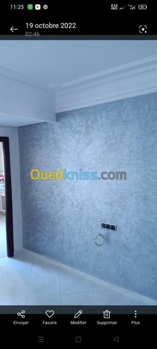 Peintre pro decorateur