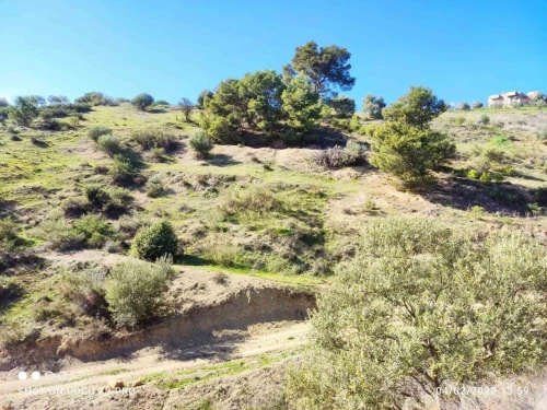 Vente Terrain Béjaïa Seddouk