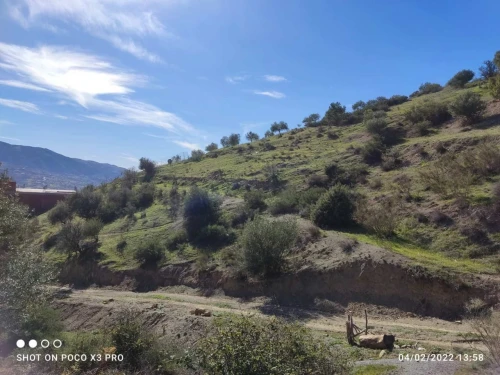 Vente Terrain Béjaïa Seddouk