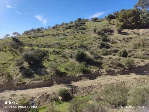 Vente Terrain Béjaïa Seddouk