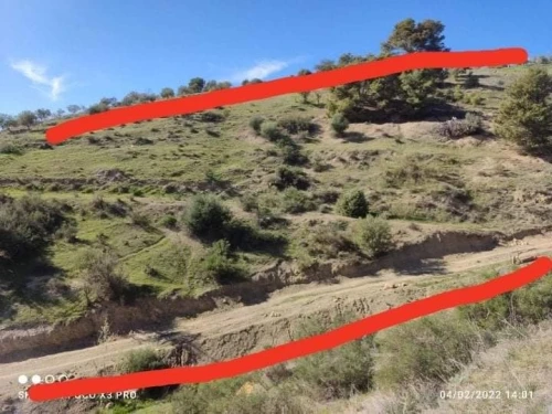 Vente Terrain Béjaïa Seddouk