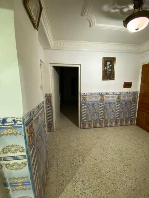 Location Local Constantine El khroub 17