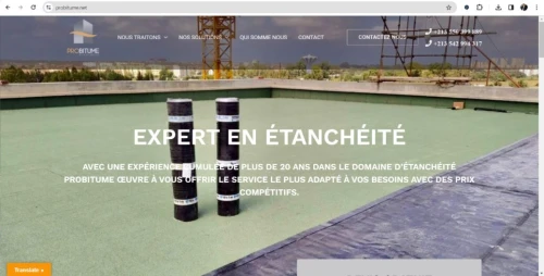 Je vais créer et développer des sites Web et des applications personnalisés, hébegement,...
