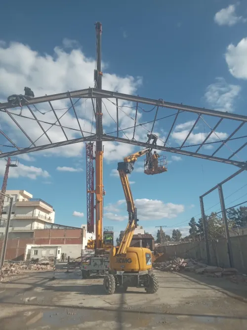 Location grue mobile