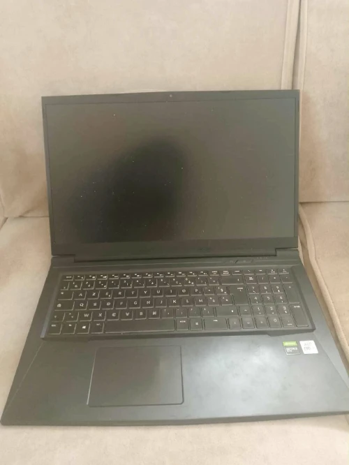 PC Gamer Clevo 17.3" - i7 10th Gen - 16GB RAM - GTX 1650