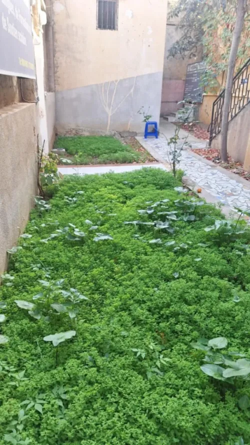 Vente Villa Béjaïa Bejaia