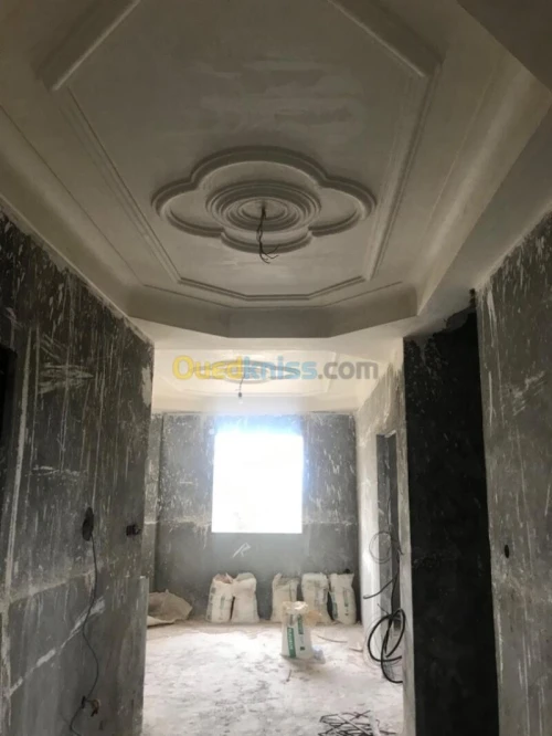 Vente Villa Alger Birtouta