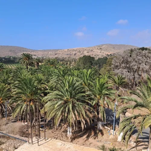Vente Villa Aïn Témouchent Oulhaca el gheraba