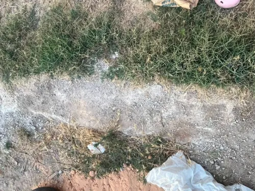 Location Terrain Alger Birtouta 10