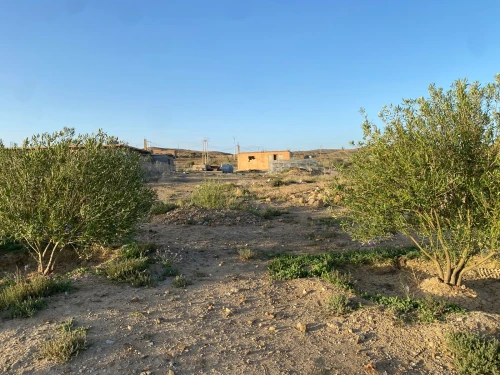 Vente Terrain Agricole Bordj Bou Arreridj El mhir