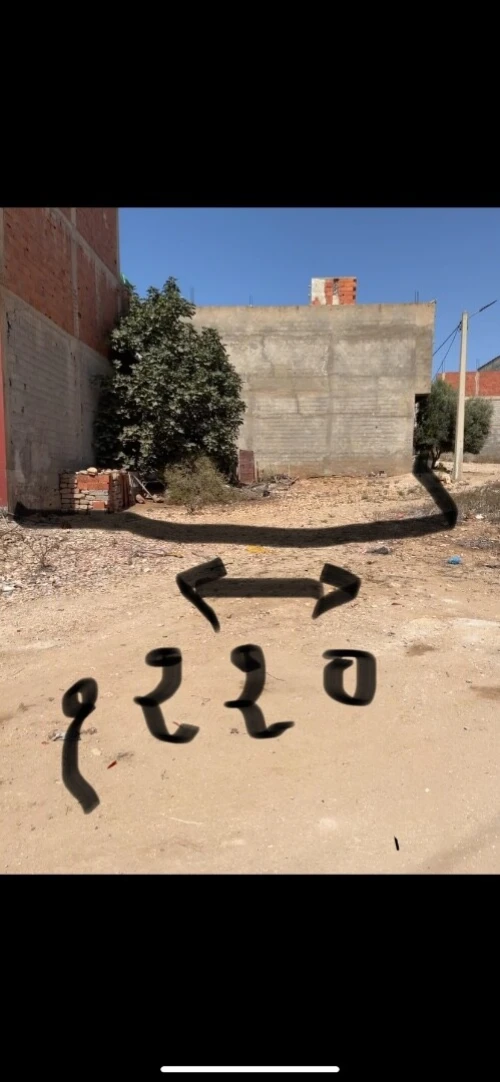 Vente Terrain Tlemcen Marsa ben mhidi