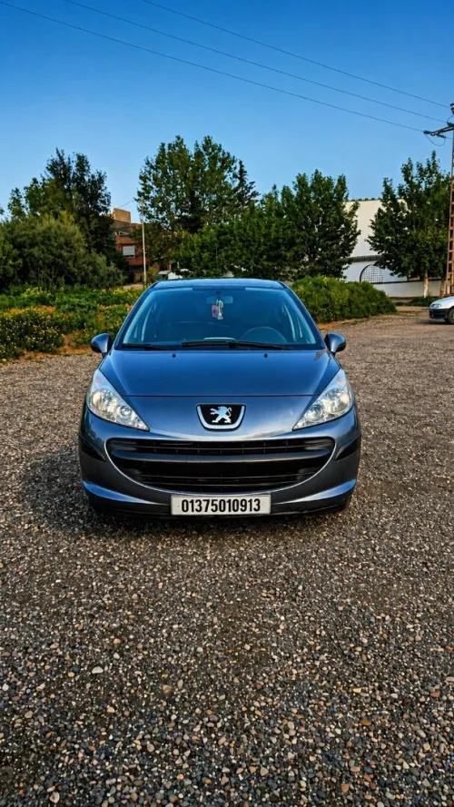 Peugeot 207 2009 207