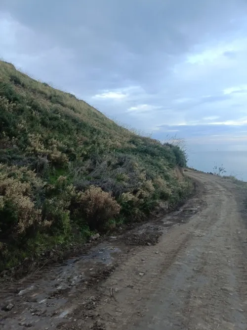 Vente Terrain Tizi Ouzou Azeffoun