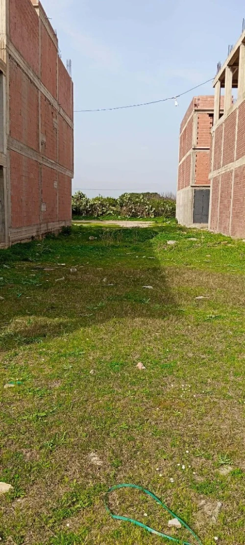 Vente Terrain Alger Sidi moussa