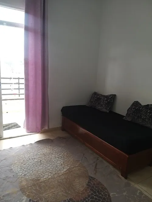 Location Appartement Studio Alger Alger centre