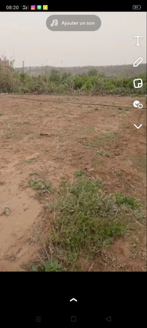 Vente Terrain Mostaganem Sirat