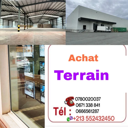 Cherche achat Terrain Oran Oran