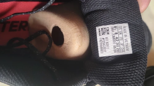 Adidas Terrex 