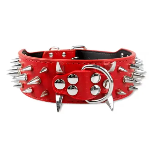 Collier chien