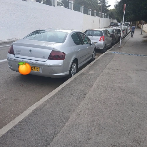 Peugeot 407 2007 Executive