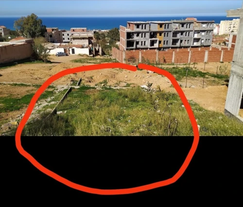 Vente Terrain Tipaza Fouka