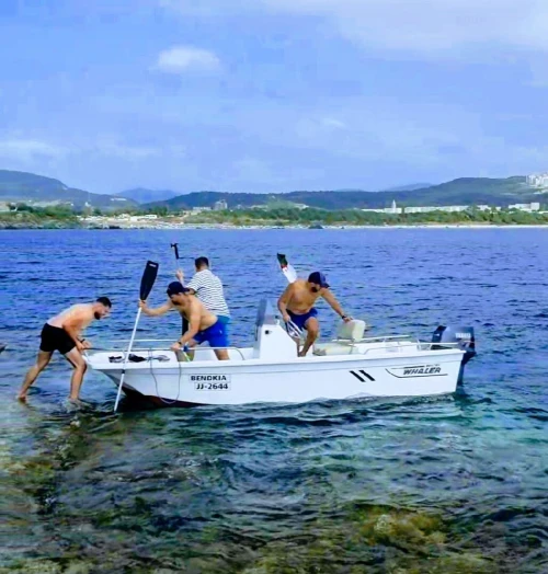 Boston Whaler Boston Whaler 