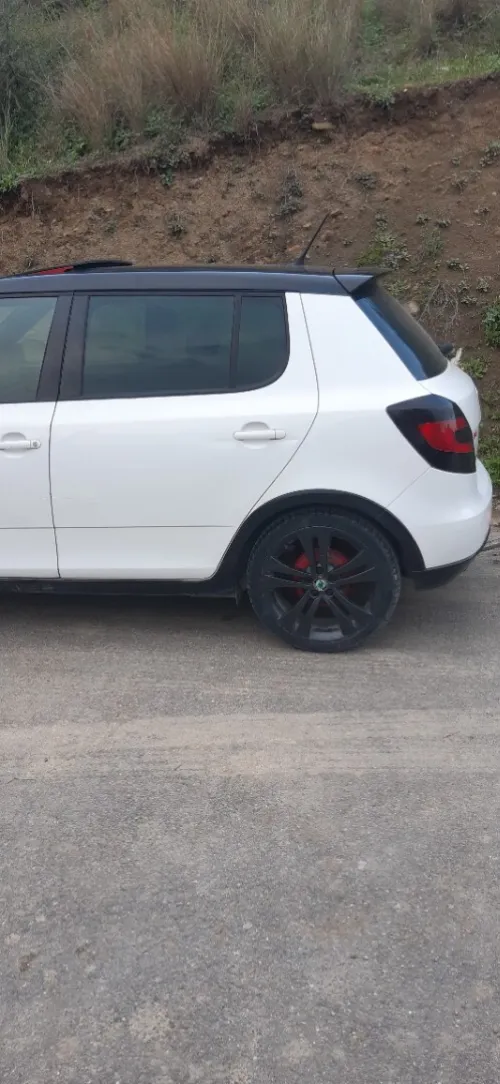 Skoda Fabia 2012 Monte carlo