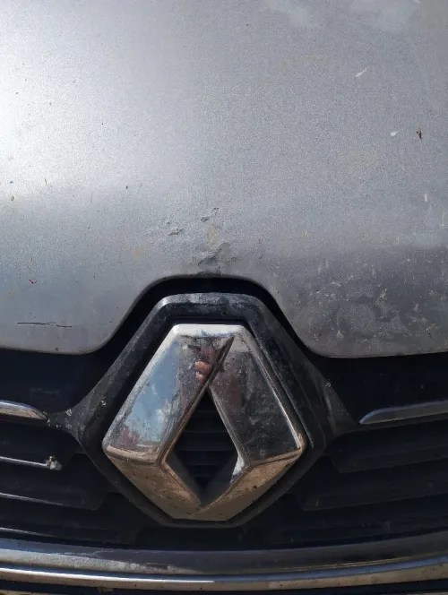 Renault Symbol 2020 Collection