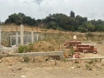 Vente Terrain Blida Bougara