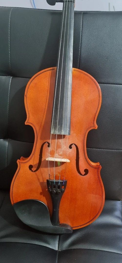 Violon 