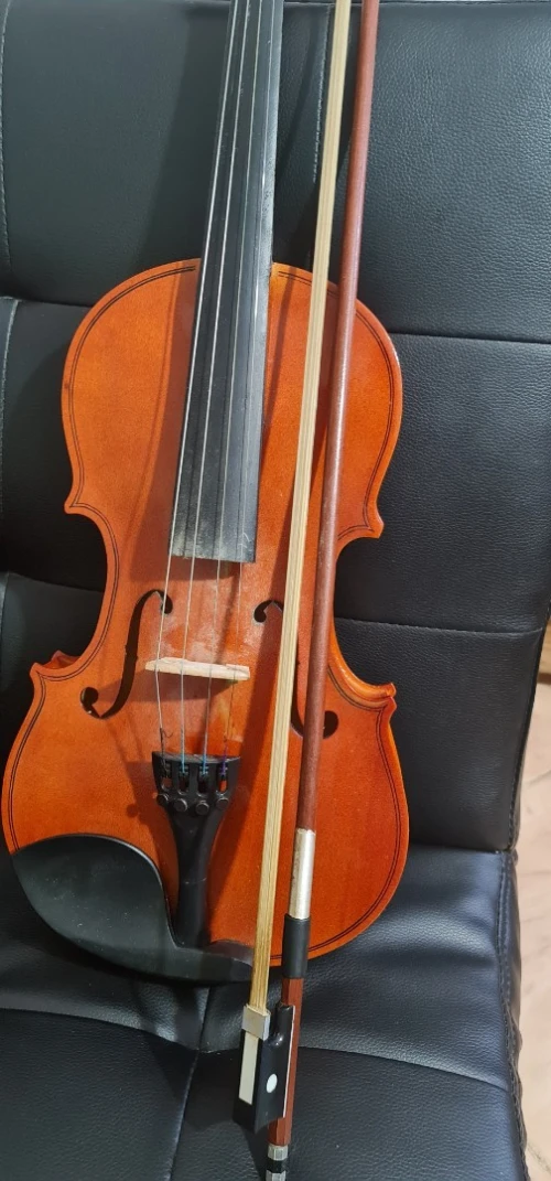Violon 