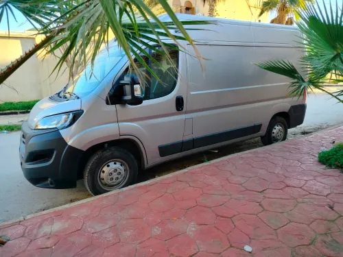 Fiat Ducato 2024 L2H2 (Deux panneaux)