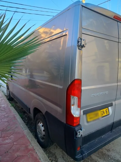 Fiat Ducato 2024 L2H2 (Deux panneaux)