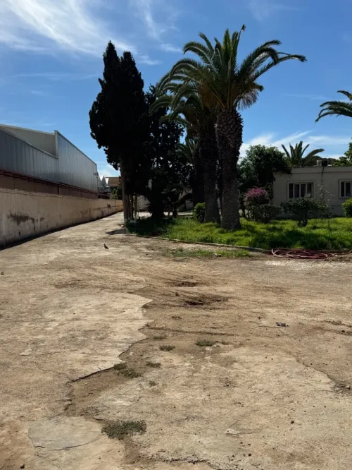 Location Local Oran Es senia
