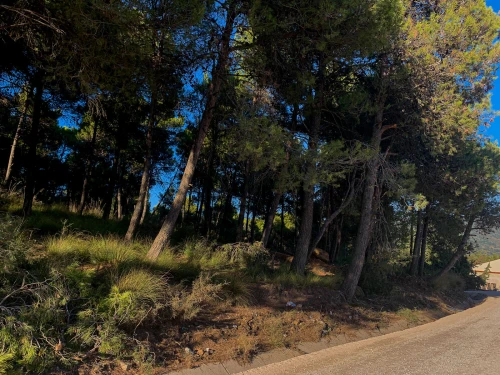 Vente Terrain Mila Terrai bainem
