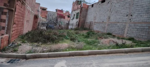 Vente Terrain Tlemcen Sebaa chioukh