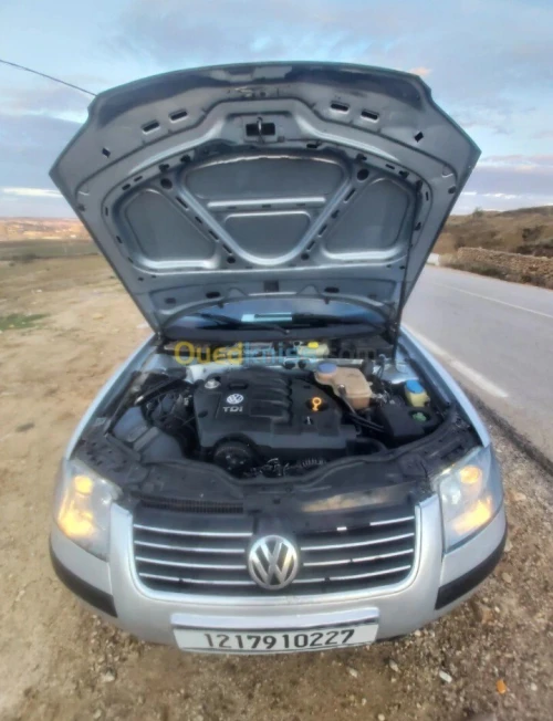 Volkswagen Passat 2002 Passat