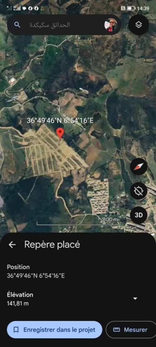 Vente Terrain Skikda El Hadaiek