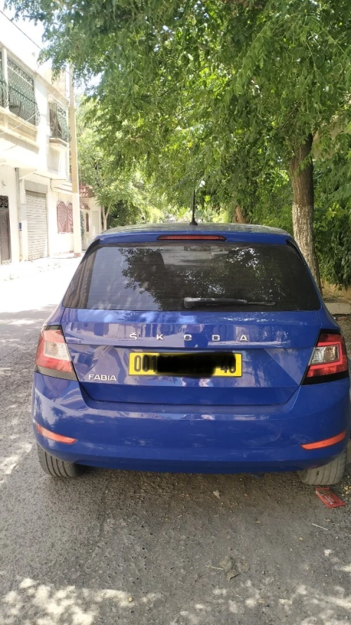 Skoda Fabia 2020 Visage