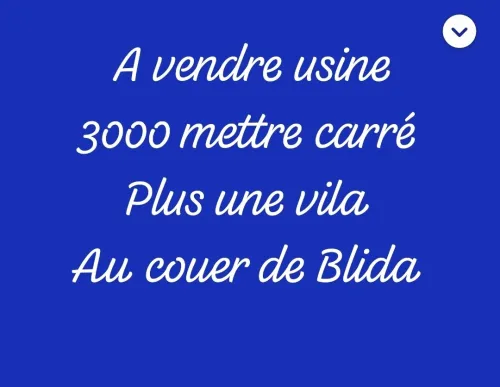 Vente Hangar Blida Blida